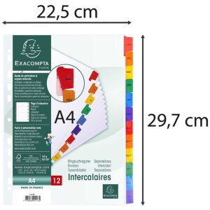 Exacompta Index DIN A4 z 12 zakładkami