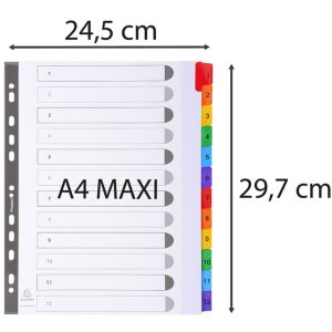 Exacompta Index DIN A4 z 12 zakładkami