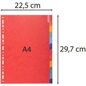 Rejestr DIN A4 z 12 zakładkami