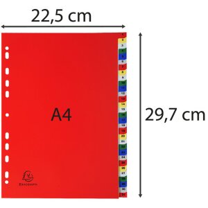 Rejestry z PP kolorowe z nadrukowanymi numerami 31 szt.