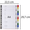 Rejestr DIN A4 z 12 zakładkami