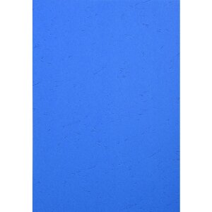 Opakowanie 100 sztuk - Evercover A4 270g Blue