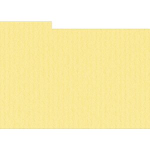 HNFD 12 Photo Box Dividers 13x18 cm - Giallo