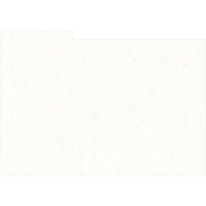 HNFD 12 Photo Box Dividers 13x18 cm - Bianco