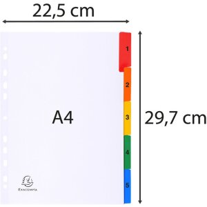 Indeks numerycznie drukowany, biały karton 160g, 10 zakładek - A4