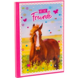 Goldbuch Friends Book A5 Horse Love 15x21 cm 88 ilustrowanych stron