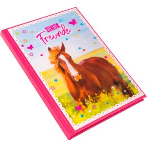 Goldbuch Friends Book A5 Horse Love 15x21 cm 88 ilustrowanych stron