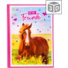 Goldbuch Friends Book A5 Horse Love 15x21 cm 88 ilustrowanych stron