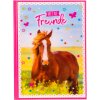 Goldbuch Friends Book A5 Horse Love 15x21 cm 88 ilustrowanych stron