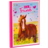 Goldbuch Friends Book A5 Horse Love 15x21 cm 88 ilustrowanych stron