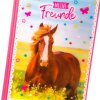 Goldbuch Friends Book A5 Horse Love 15x21 cm 88 ilustrowanych stron