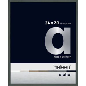 Nielsen Aluminiowa ramka na zdjęcia Alfa 24x30 cm platynowa