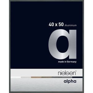 Nielsen Aluminiowa ramka na zdjęcia Alfa 40x50 cm platynowa