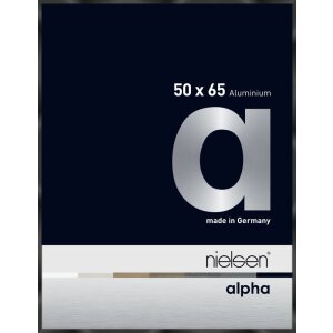 Nielsen Aluminiowa ramka na zdjęcia Alpha 50x65 cm...