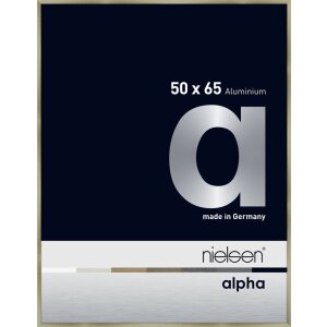 Nielsen Aluminiowa ramka na zdjęcia Alpha 50x65 cm stal...