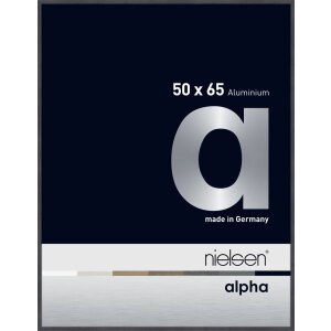 Nielsen Aluminiowa ramka na zdjęcia Alpha 50x65 cm Grey