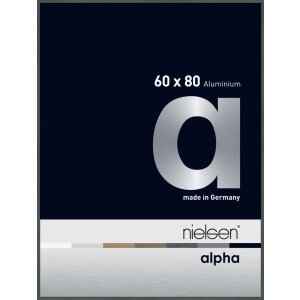 Nielsen Aluminiowa rama na zdjęcia Alfa 60x80 cm platynowa