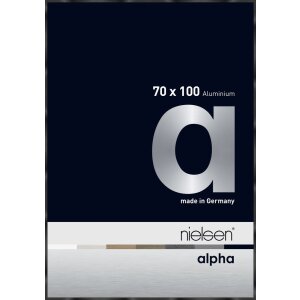 Nielsen Aluminiowa rama na zdjęcia Alpha 70x100 cm...