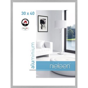 Nielsen Fire Protection Frame C2 Structure Silver Matt...