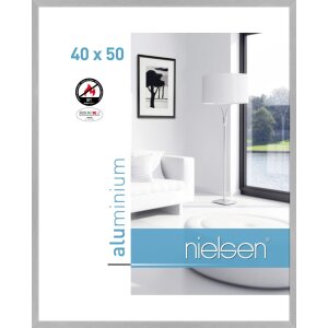 Nielsen Fire Frame C2 Structure Silver Matt 40x50 cm