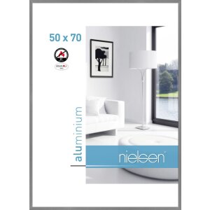 Nielsen Fire Protection Frame C2 Structure Grey Matt...