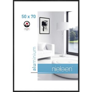 Nielsen Fire Protection Frame C2 Structure Black Matt...