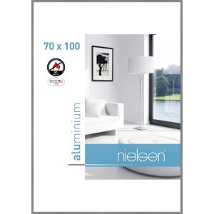 Nielsen Fire Protection Frame C2 Structure Grey Matt...