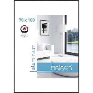 Nielsen Fire Protection Frame C2 Structure Black Matt...