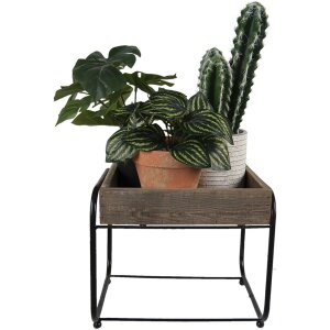 Clayre Eef 64950 Planter Table Brown 32x26x27 cm