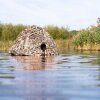 Siatka maskująca Buteo Photo Gear 4 trzcina/trawa 1,5x3 m