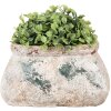 Clayre & Eef 6TE0536S Doniczka 17x13x9 cm