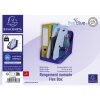 Exacompta 3500383D FLEX BOX Bee Blue Granatowy Jasnoniebieski