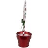 Clayre & Eef 6Y5626 Dekoracja Lollipop Red White Metal 12x9x26 cm