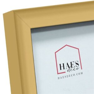 Haes Deco EF4G Easy Frame Plastikowa ramka na zdjęcia złota 20x30 cm