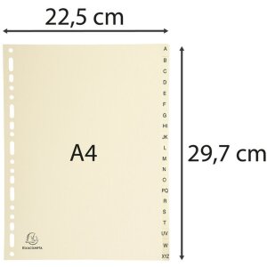 Indeks DIN A4 z 20 zakładkami