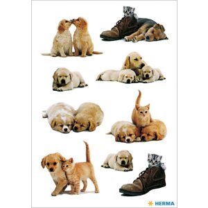 herma sticker cute decor dog puppies 3 arkusze